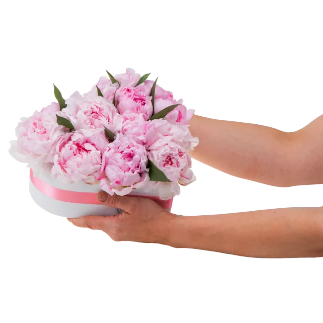 Květinový box pivoňek